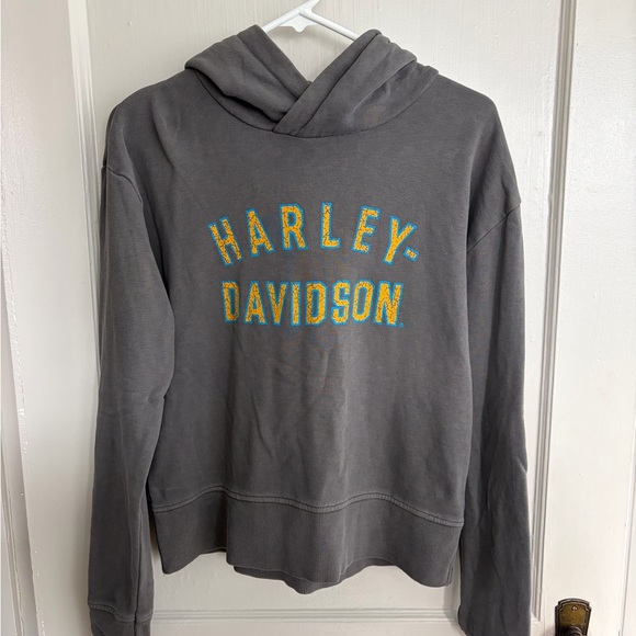 Harley-Davidson Genuine MotorClothes Gray Hoodie - Picture 2 of 6